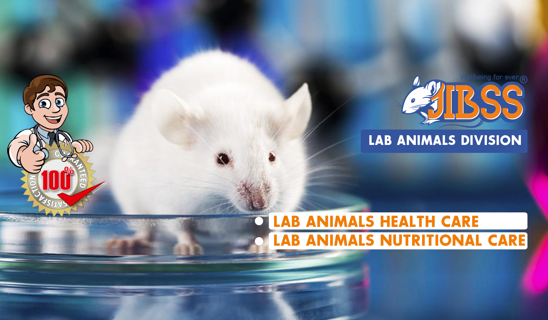 labanimalsdivision