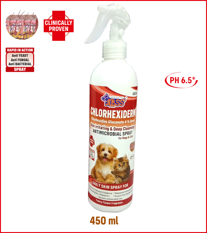 Chlorhexiderm Spray 450ml