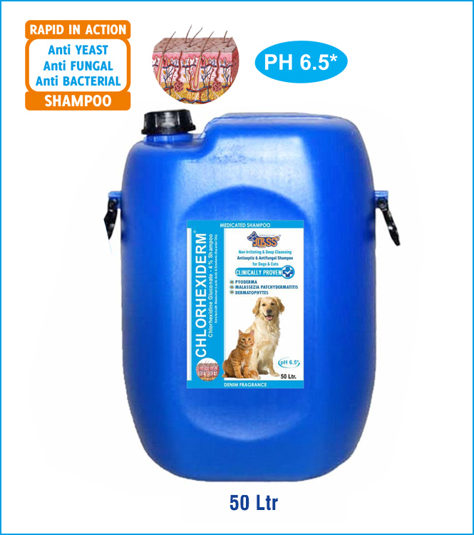 CHLORHEXIDERM 50Ltr